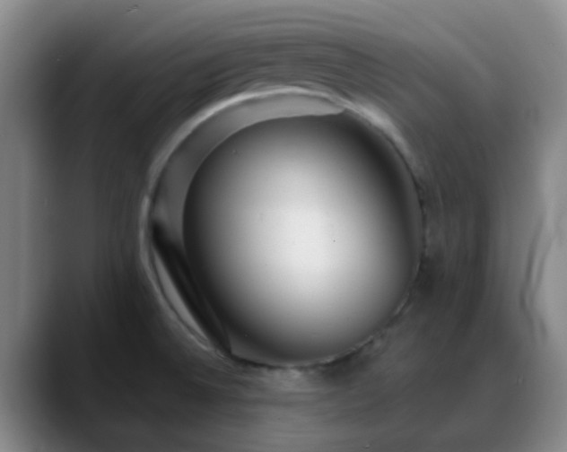 X0000088871524200706151744