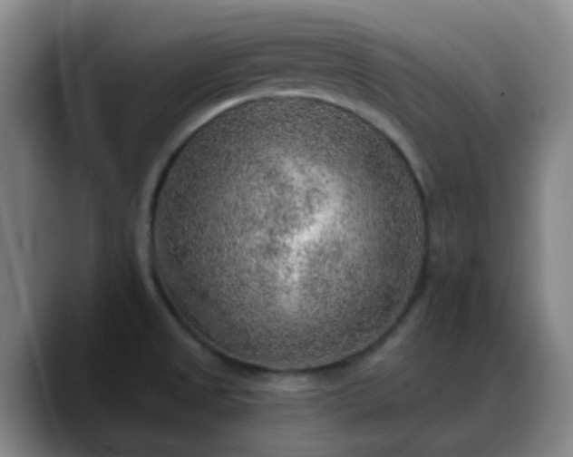 X0000088871525200706151744