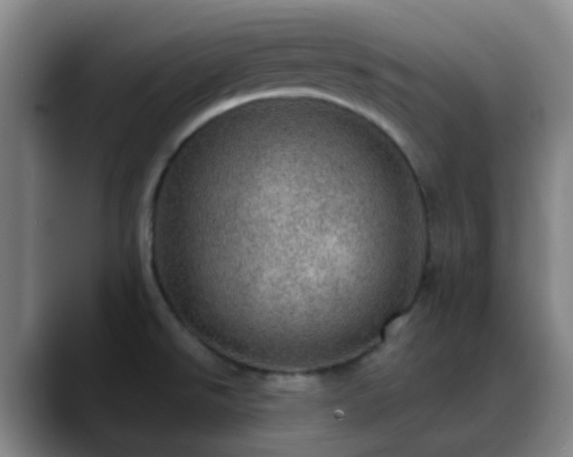 X0000088871526200706151744