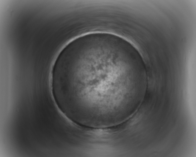 X0000088871527200706151744