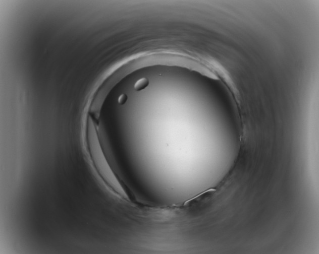 X0000088871528200706151744