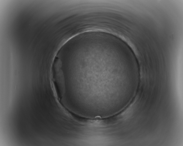 X0000088871529200706151744