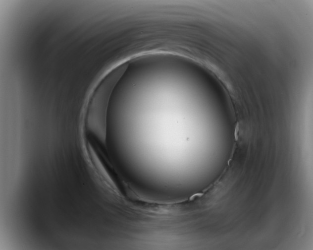 X0000088871530200706151744