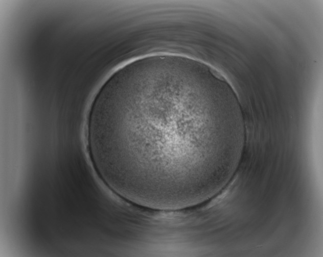 X0000088871531200706151744