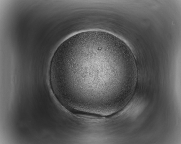 X0000088871534200706151744