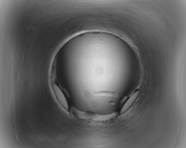X0000088871536200706151744