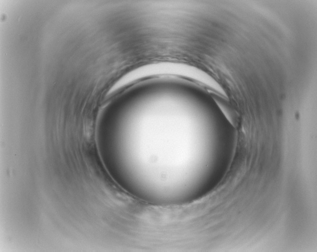 X0000088870033200706221801