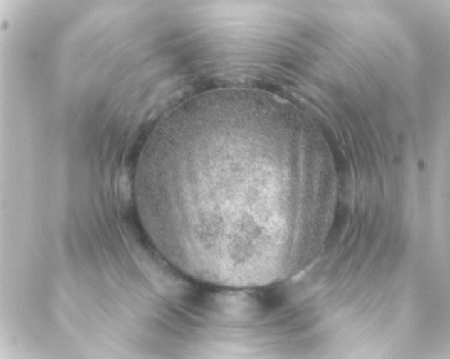 X0000088870086200706221800