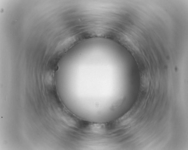 X0000088870126200706221759