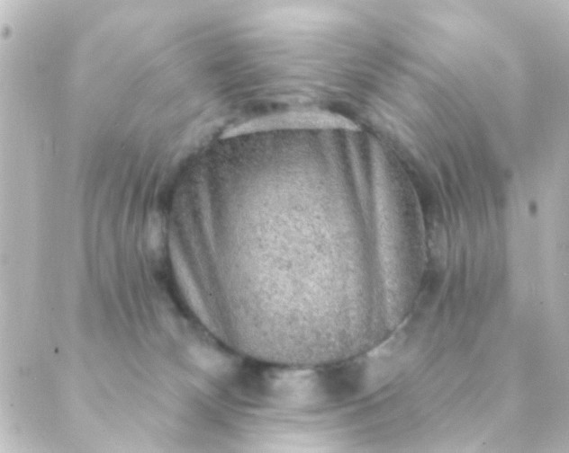 X0000088870132200706221759