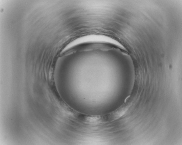 X0000088870139200706221759