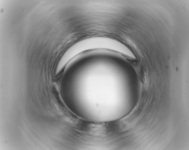 X0000088870170200706221758
