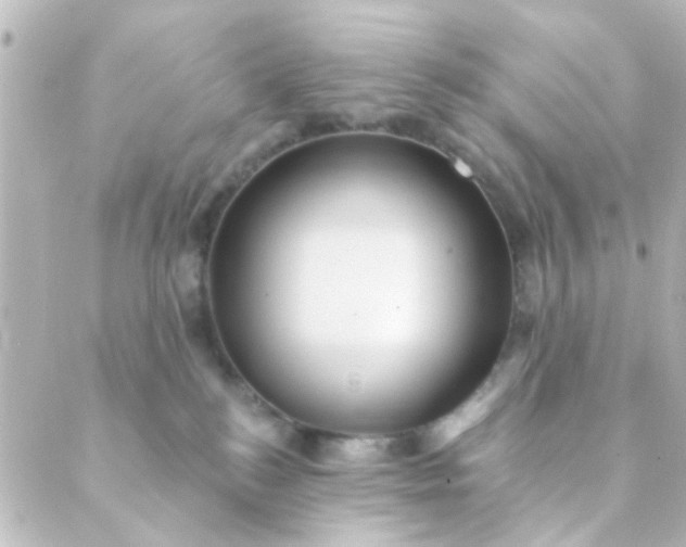 X0000088870184200706221759