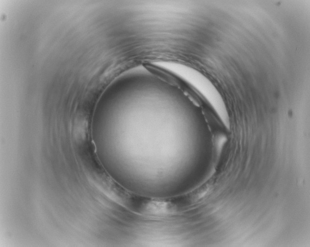 X0000088870227200706221757