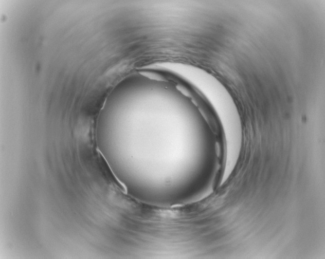 X0000088870233200706221757