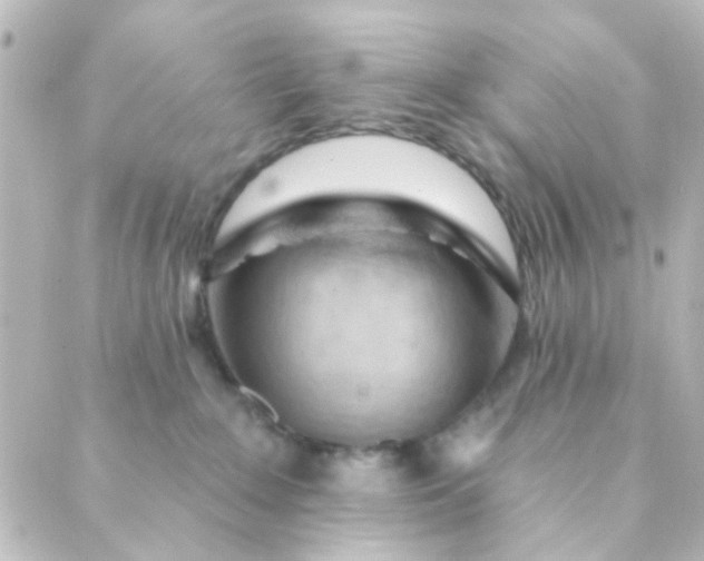 X0000088870235200706221757