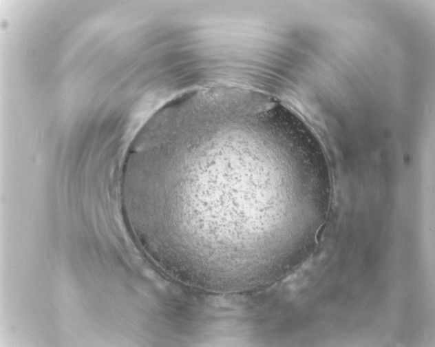 X0000088870241200706221756