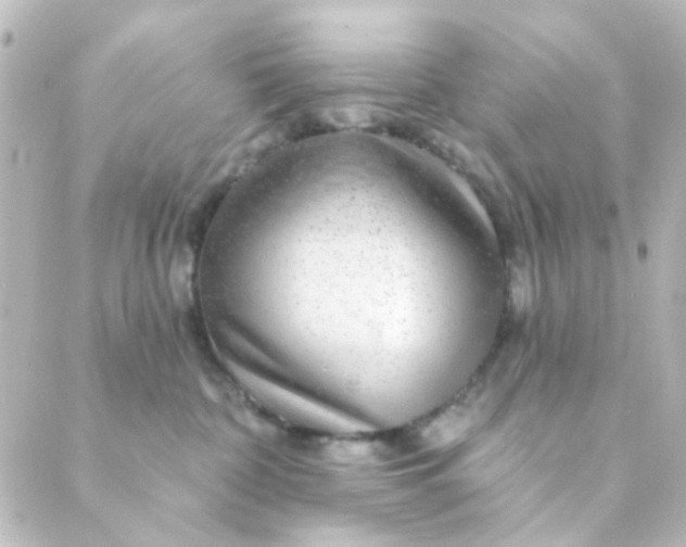 X0000088870332200706221756