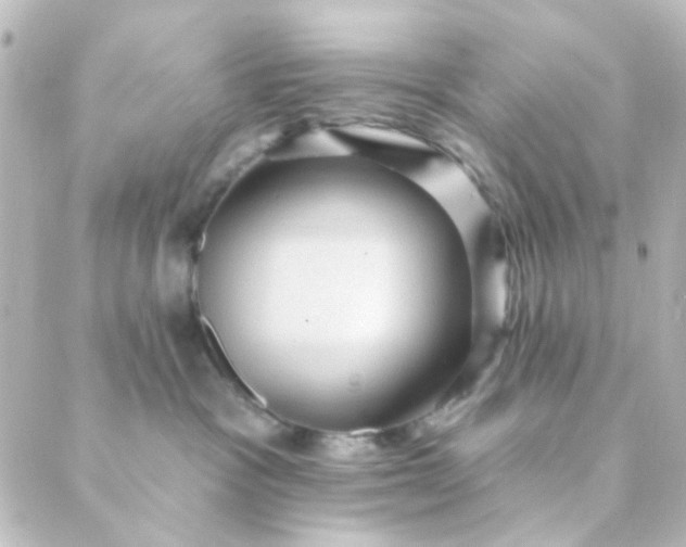 X0000088870333200706221756