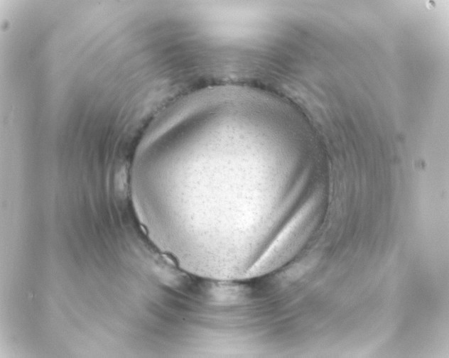 X0000088870336200706221756