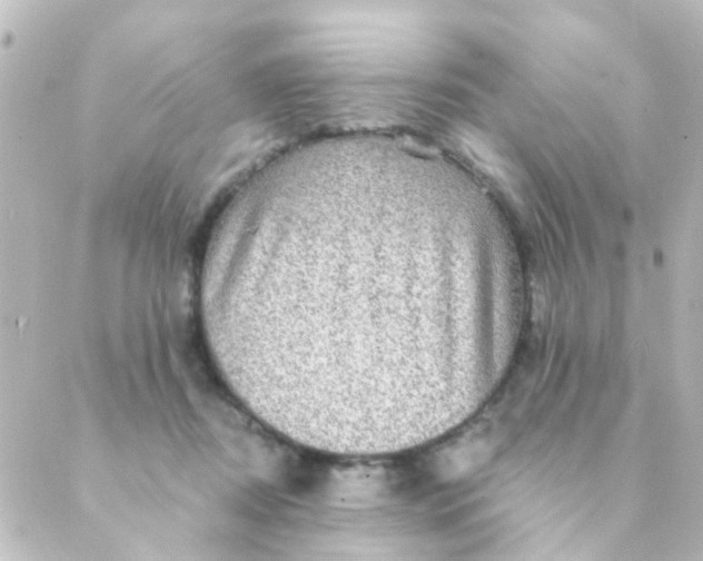 X0000088870362200706221755
