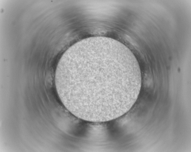 X0000088870370200706221755