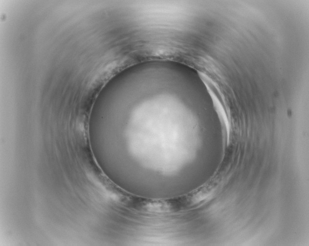 X0000088870415200706221754