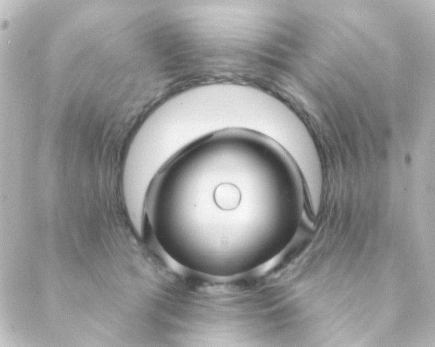 X0000088870417200706221754