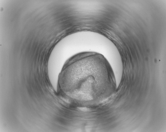X0000088870425200706221754