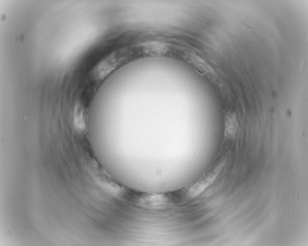 X0000088870431200706221754