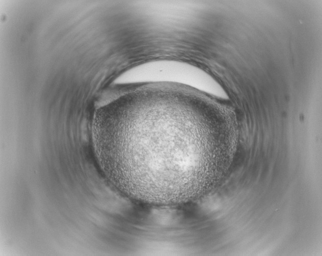 X0000088870470200706221754