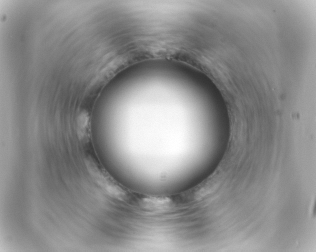 X0000088870480200706221754