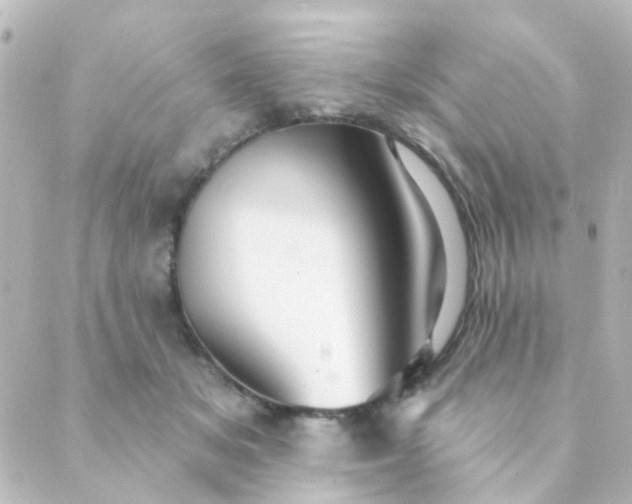 X0000088870509200706221753