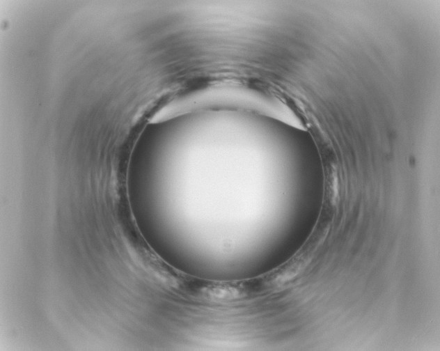 X0000088870512200706221753