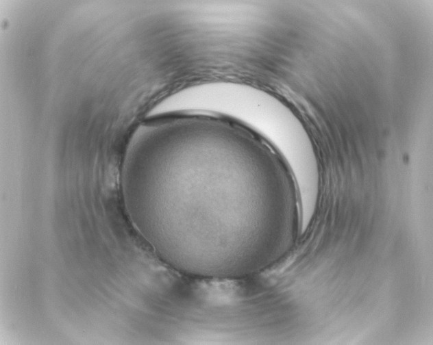 X0000088870517200706221753