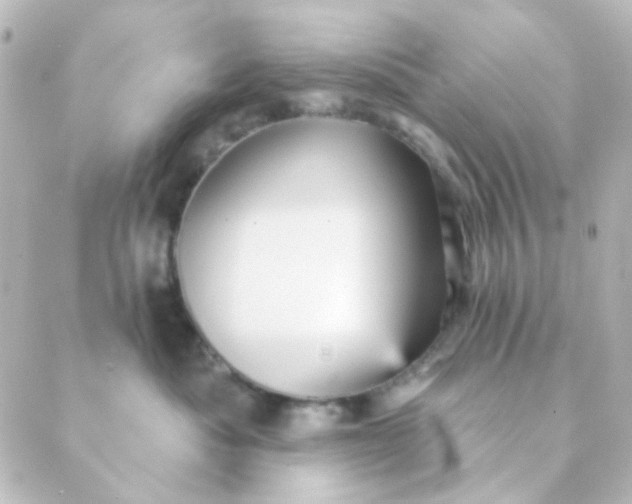 X0000088870525200706221753