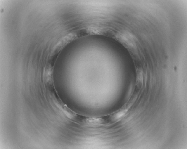 X0000088870526200706221753
