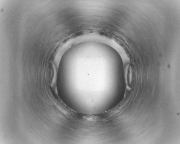 X0000088870564200706221752