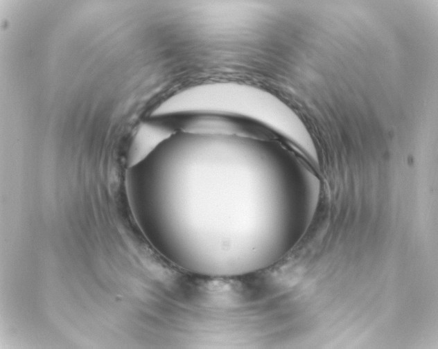X0000088870566200706221752