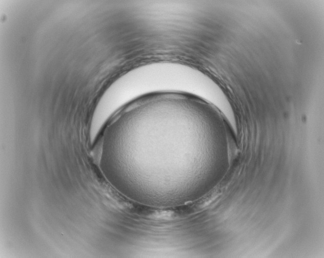 X0000088870609200706221751