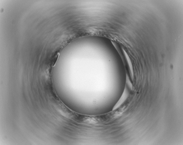 X0000088870611200706221751