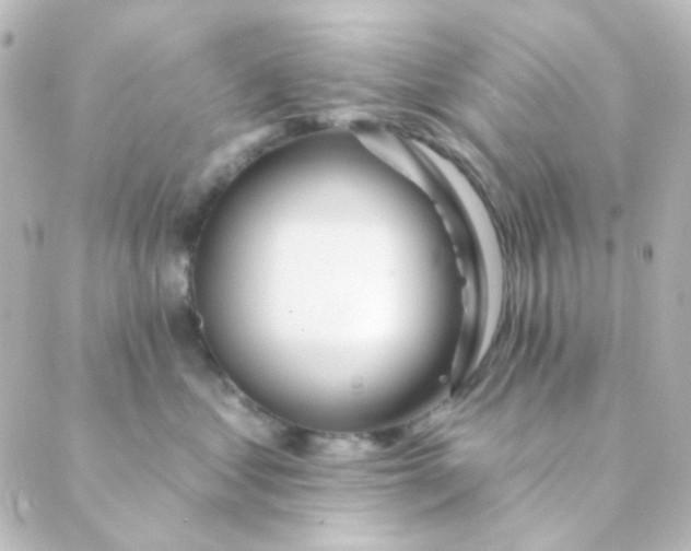 X0000088870621200706221751
