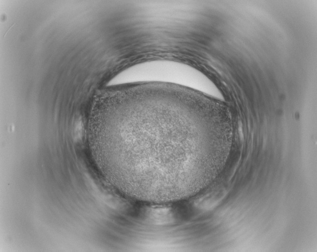X0000088870651200706221751