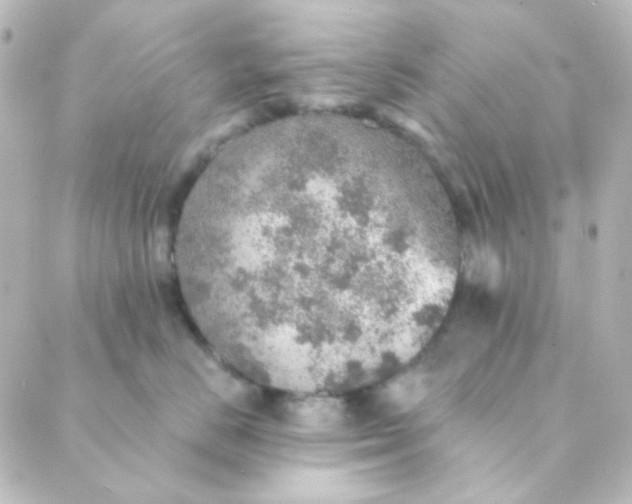 X0000088870670200706221751