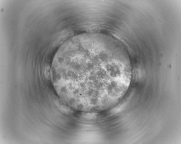 X0000088870671200706221751