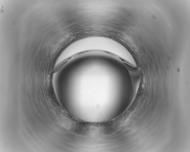 X0000088870697200706221750