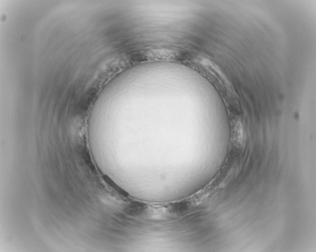 X0000088870701200706221750