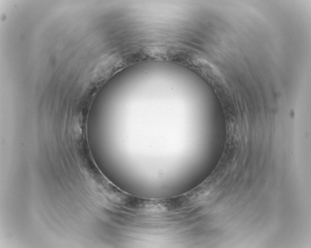 X0000088870702200706221750