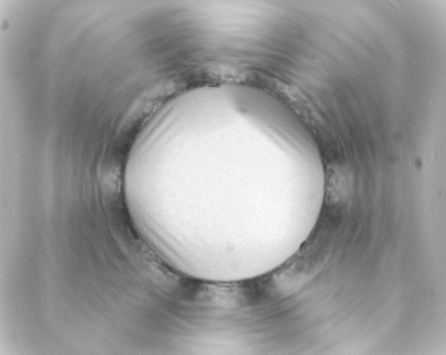 X0000088870713200706221750