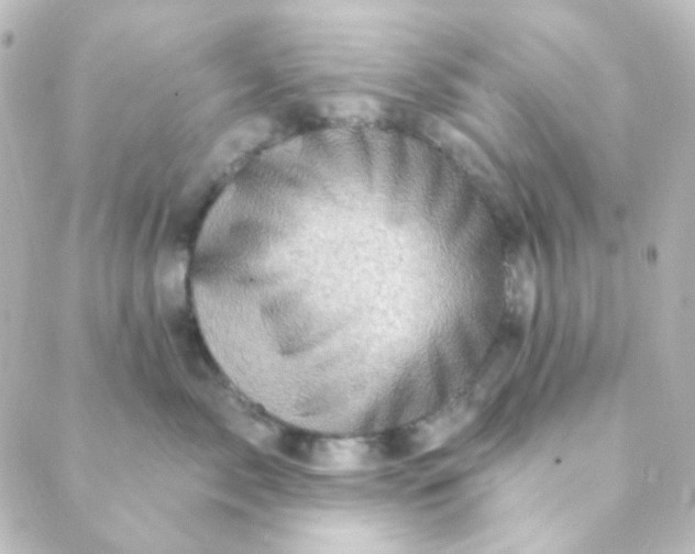 X0000088870717200706221750